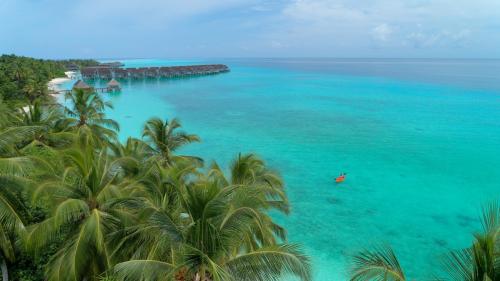 Снорклинг сафари в Kuramathi Maldives: профессиональная экскурсия – знакомство с жителями океана  
